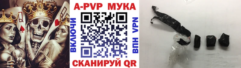 Alpha PVP СК КРИС  Игра 