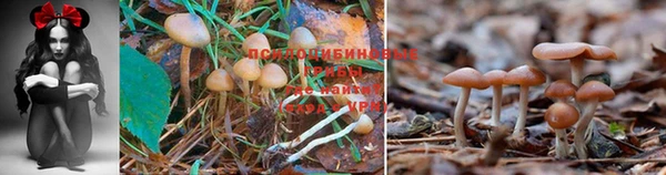 мефедрон мука Михайловск