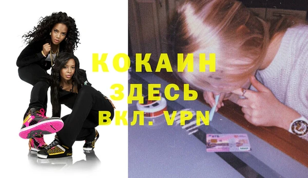 твердый Михайловка
